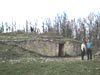 Tumulus in the Forêt de Boixe